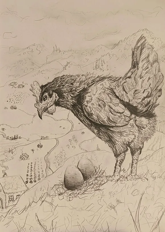 Wily chicken (by Shaun McCallum)